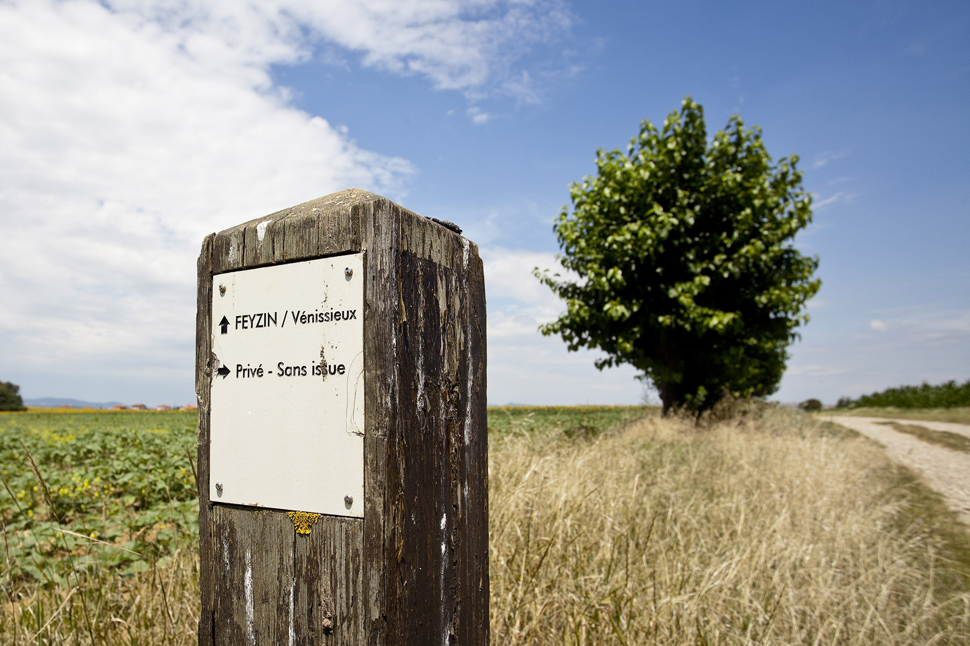 Plateau des Grandes terres - www-b-rob-com