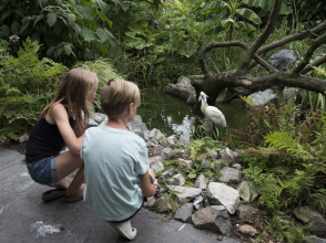 Parc des Oiseaux © A. Janin