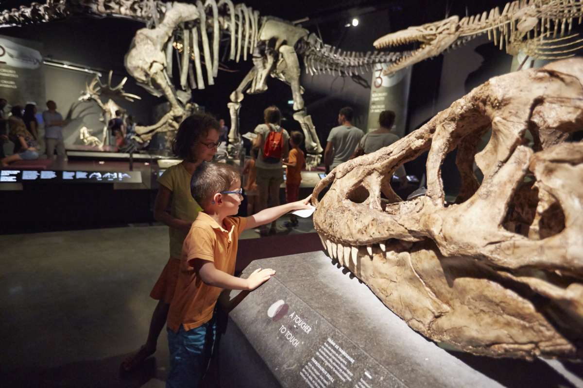 Enfants - Musée des Confluences