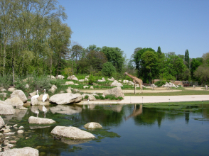 La plaine africaine du parc de la Tête d'Or © Parc de la Tête d'Or