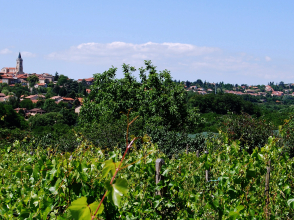 Vue de Dardilly © Ville de Dardilly